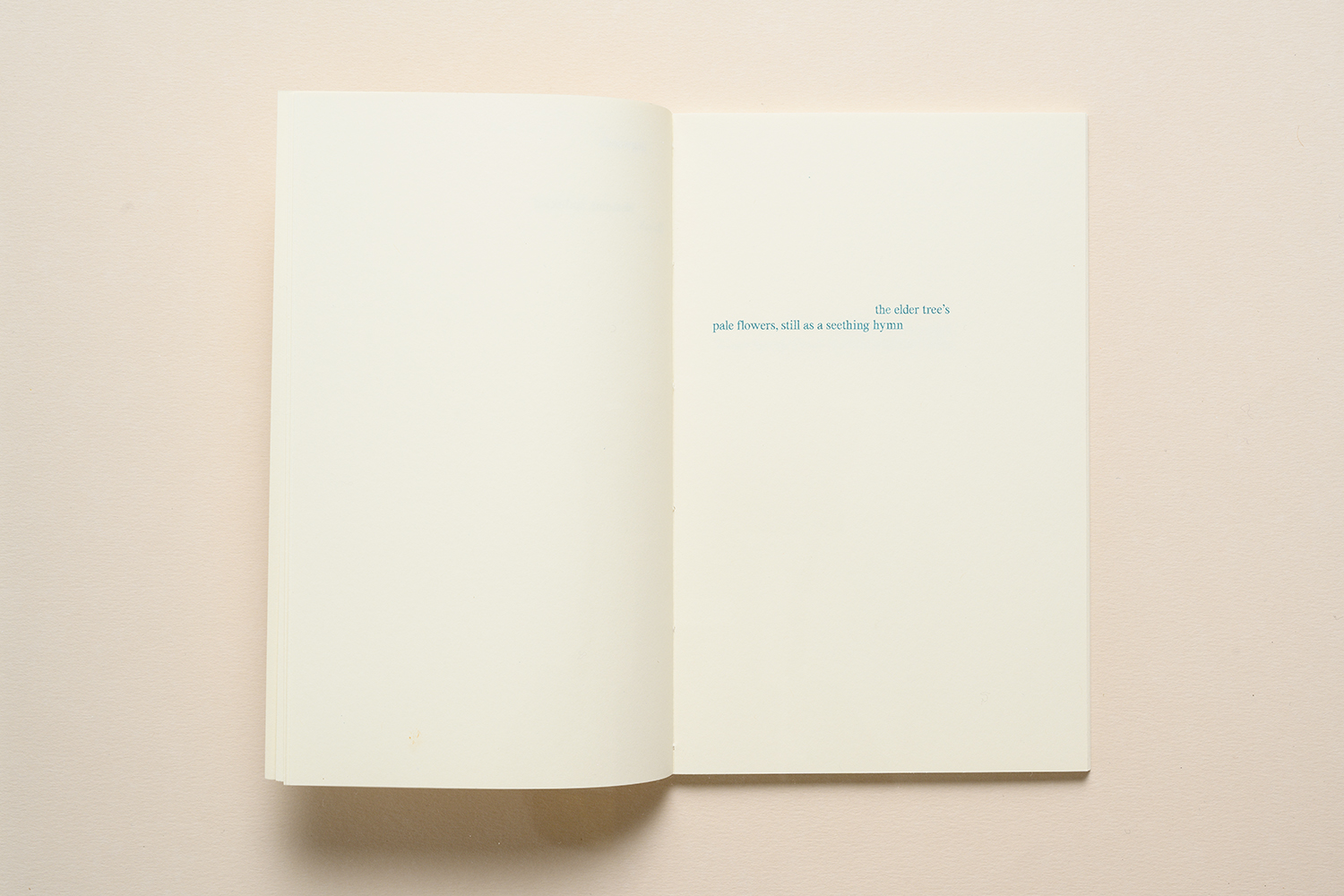 Elfi Seidel, Alphabet Forest, 2022